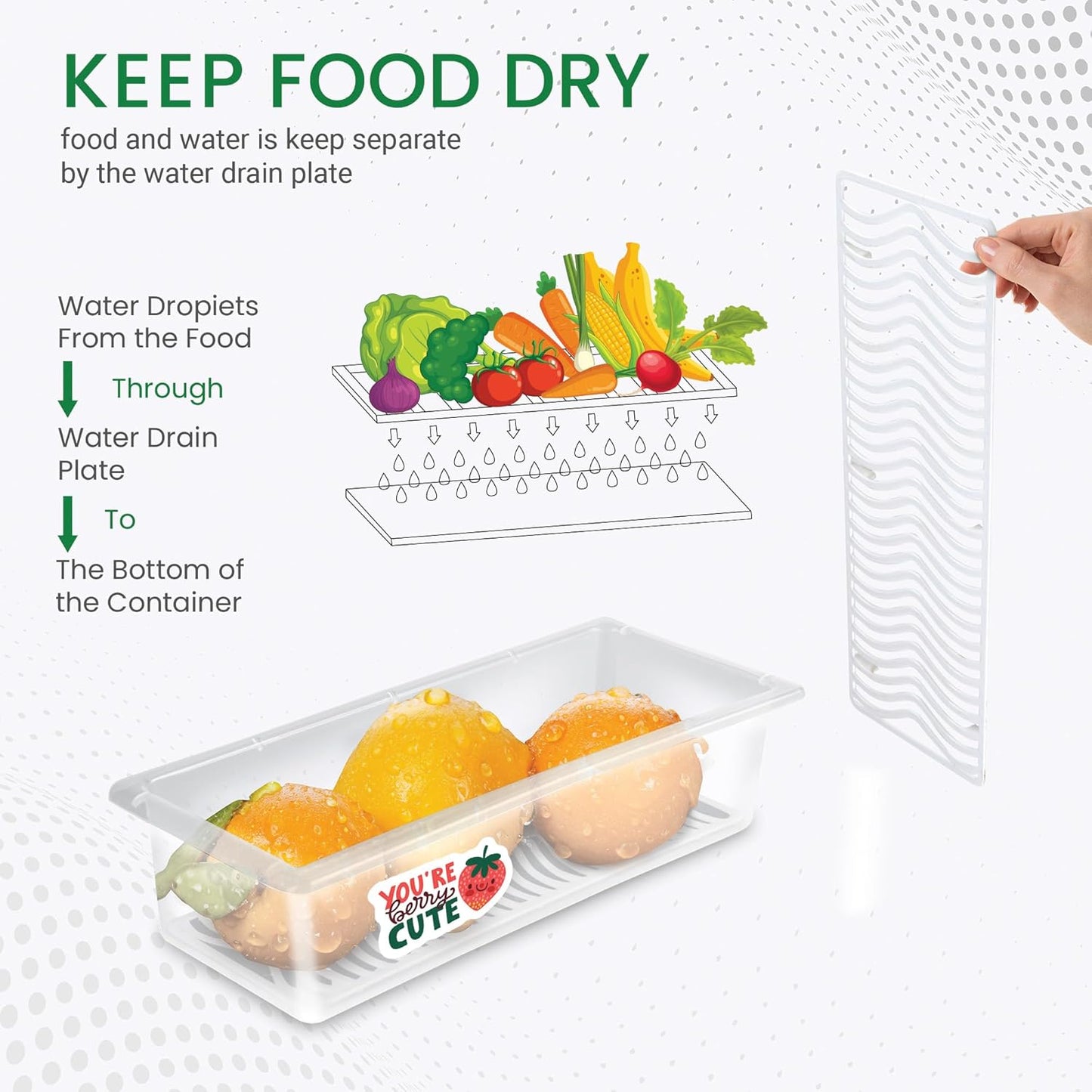 Fridge Storage Containers Box  (Pack of 6)