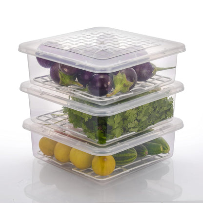 Fridge Storage Container Box (Pack of 4 - Premium Quality)
