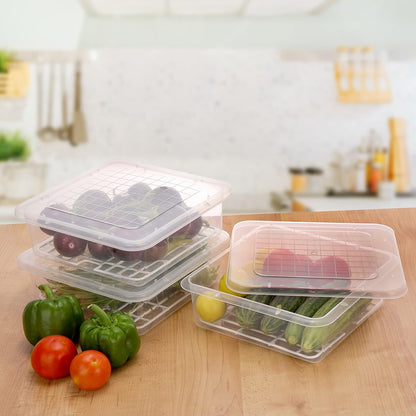 Fridge Storage Container Box (Pack of 4 - Premium Quality)