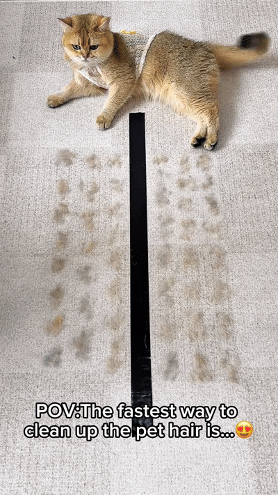 Pet Hair Removal Gloves (Pack of 2)